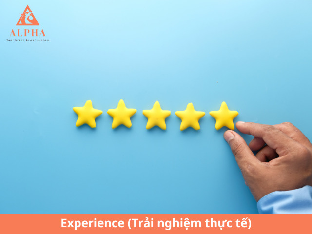 Experience (Trải nghiệm thực tế)