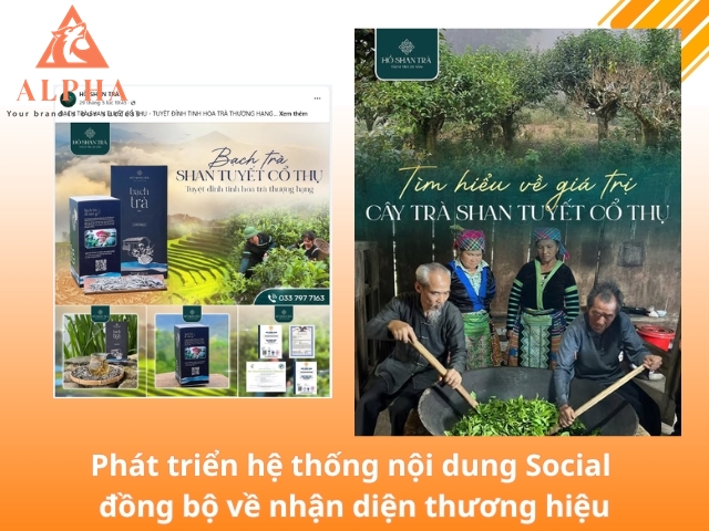 Lên kế hoạch nội dung và thiết kế hình ảnh chuyên nghiệp