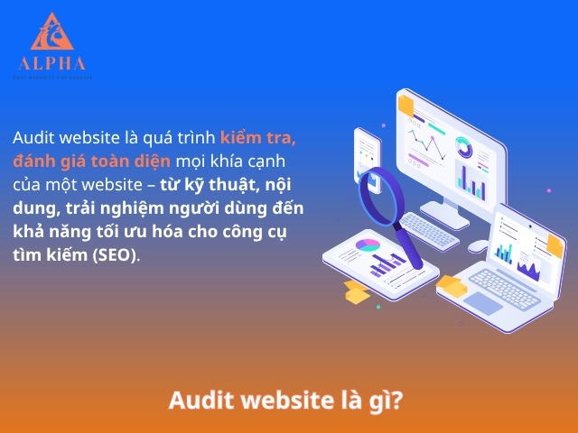 Audit website là gì