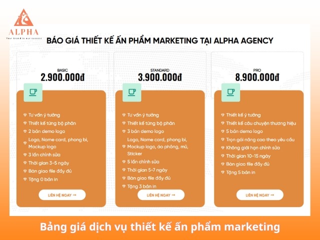 Dịch vụ thiết kế ấn phẩm marketing