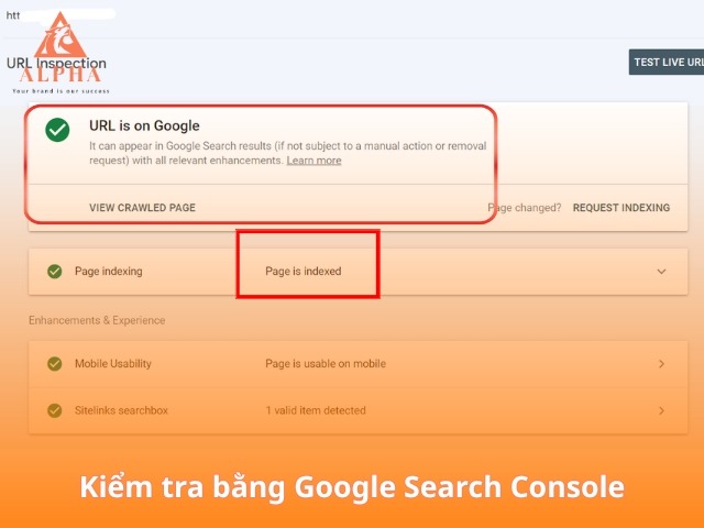 index google page