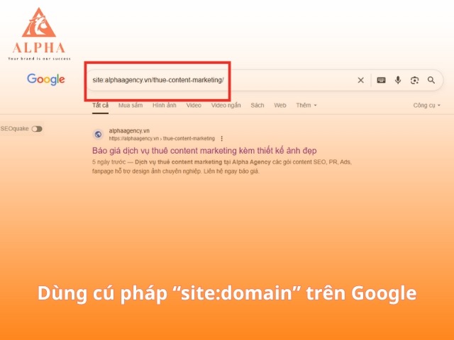 Dùng cú pháp “site:domain” kiểm tra index gg