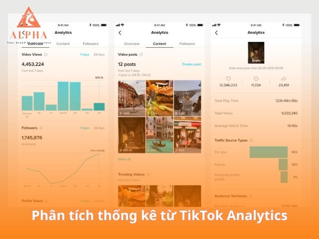Phân tích thống kê từ TikTok Analytics