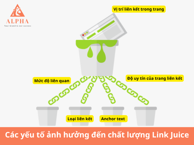 Các yếu tố ảnh hưởng đến chất lượng Link Juice