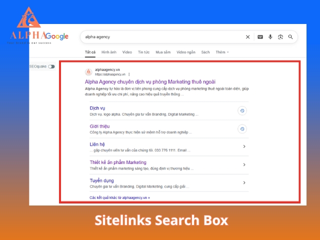 Sitelinks Search Box