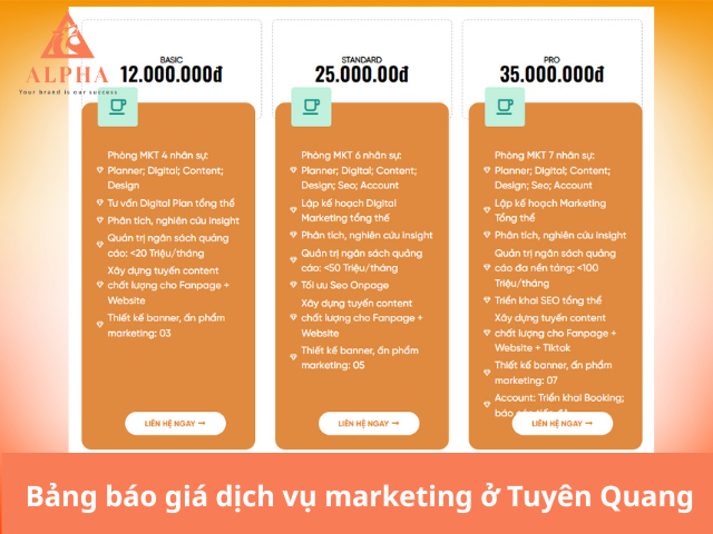 Bảng báo giá dịch vụ marketing ở Tuyên Quang