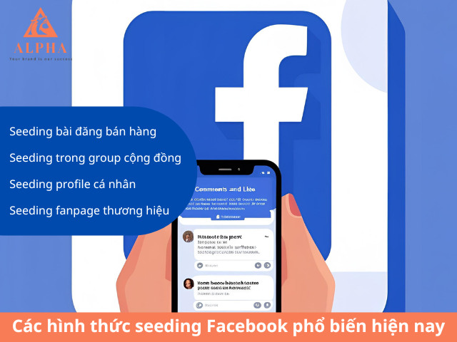 Các hình thức seeding Facebook