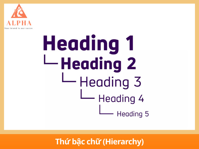 Hệ thống phân cấp kiểu chữ trong typography