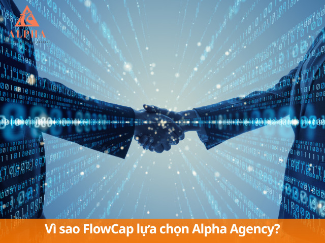 Phòng marketing chuyên nghiệp Alpha Agency