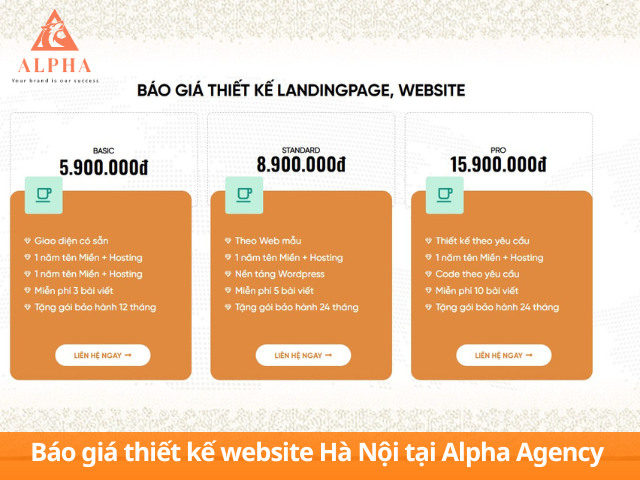 Chi phí thiết kế website kèm hosting và tên miền