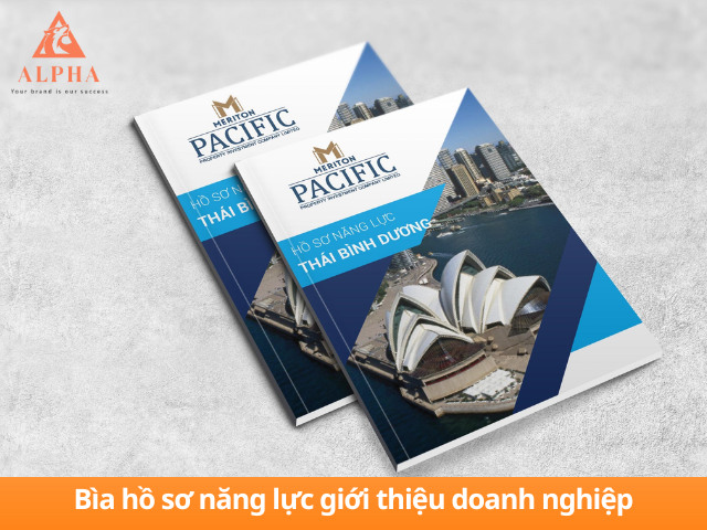Mẫu bìa HSNL doanh nghiệp đẹp