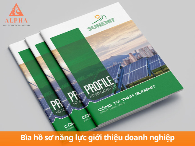 Mẫu profile công ty psd chuyên nghiệp