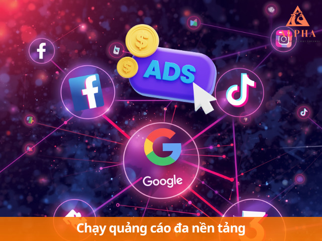 dự án marketing đa nền tảng cho transowin